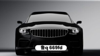 鲁Q 669FD