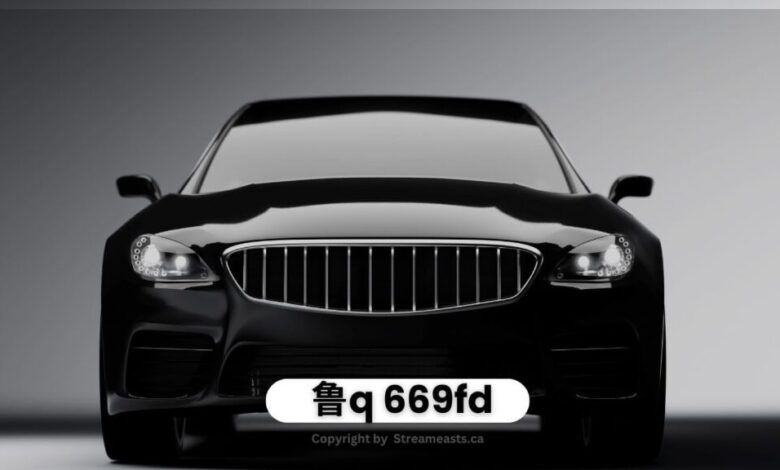 鲁Q 669FD